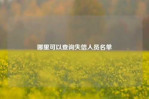 哪里可以查询失信人员名单